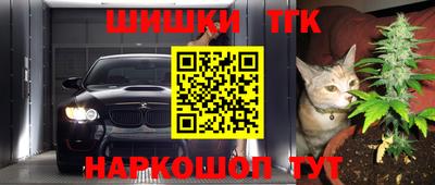 гашик Янаул
